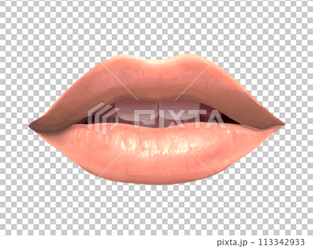 嘴唇(粉紅色) 嘴唇(粉紅色) 113342933