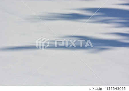 白い雪景色 113343065