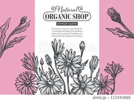 Organic shop, florist store or cosmetic products 113343866