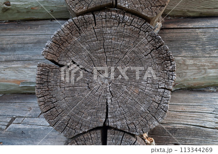 Cracked butt-edge of old log Cracked butt-edge of old log 113344269