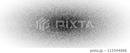 Radial halftone grunge fading texture. Vanishing dotted circle line background. Black pop art dot gradient backdrop. Retro comic cartoon noise for poster, overlay, cover, print. Vector grain wallpaper 113344898