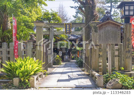 京都御苑内白雲神社 京都御苑内白雲神社 113346283