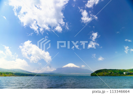 春の富士山 113346664