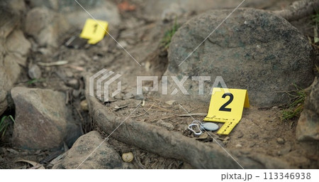 Closeup, evidence marker and forensic for investigation at crime scene with keys on ground or accident location in forest. Yellow numbers, homicide or case research with observation outdoor in woods 113346938