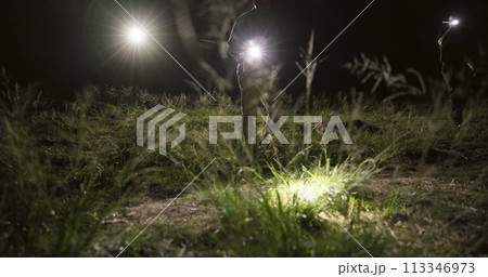 Detective, search party and flashlight at night in field, missing person and investigation of police. Crime scene, outdoor and tactical team to patrol in dark and coordination of emergency response 113346973