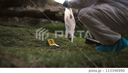 Csi, collect or evidence at crime scene for investigation in forest with safety bag or protection hazmat..Forensic career, expert investigator and examination for observation or case research outdoor 113346990