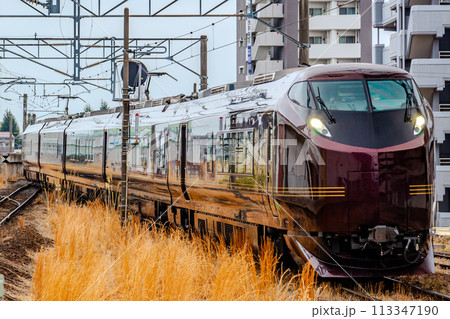 E655系　なごみ（和）臨時列車　 113347190