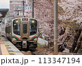 北仙台駅の桜並木を行く、E721系1000番台 113347194