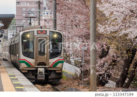 北仙台駅の桜並木を行く、E721系1000番台 113347194