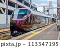 E655系　なごみ（和）臨時列車　 113347195