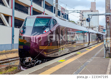 E655系　なごみ（和）臨時列車　 113347195