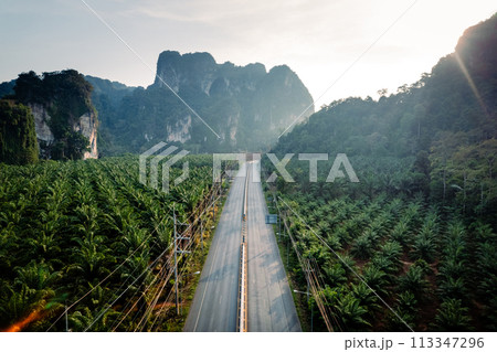 Straight road and palm trees and rocky mountains at Krabi, way to the sea. 113347296