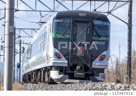 E257系5500番台 特急草津・四万 E257系5500番台 特急草津・四万 113347313