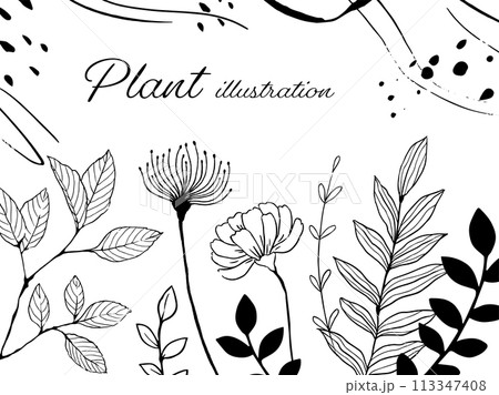 植物のシンプルなイラスト_3 植物のシンプルなイラスト_3 113347408