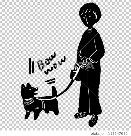 犬の散歩をする女性のイラスト 113347652