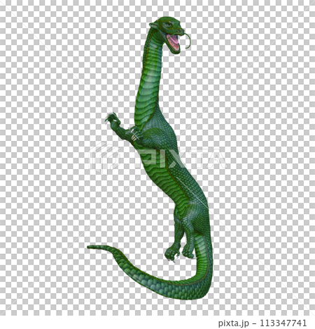 Dragon Dragon 113347741