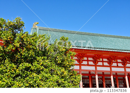 平安神宮の大極殿と右近の橘　京都の観光名所　秋の京都観光スポット　 113347836