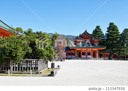平安神宮の大極殿と右近の橘　京都の観光名所　秋の京都観光スポット　 113347838