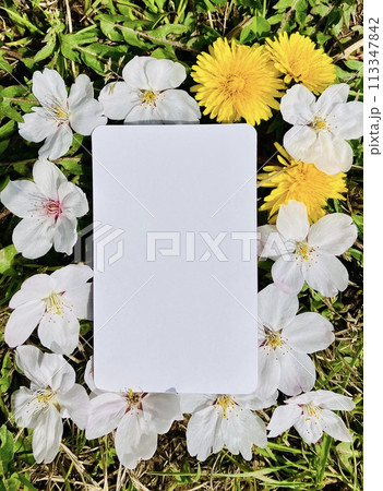 春の花と白いカード_春の花のフレーム 113347842