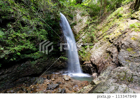 黒山三滝　男滝（埼玉県越生町）10月 113347849