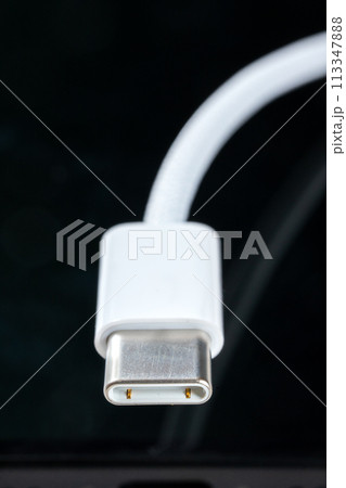 USB　タイプCケーブル 113347888