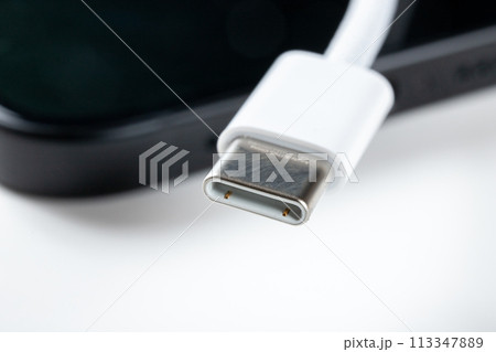 USB タイプCケーブル USB タイプCケーブル 113347889