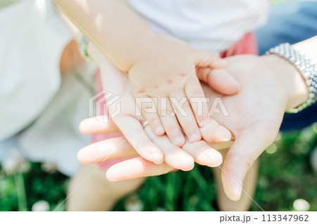 手を繋ぐ親子 113347962