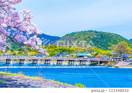 嵐山の桜と渡月橋 113348010