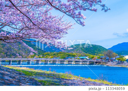 嵐山の桜と渡月橋 113348059