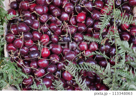 ripe fresh cherry in a bowl on table  113348063