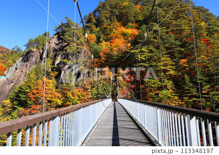 瀬戸合峡の紅葉 瀬戸合峡の紅葉 113348197
