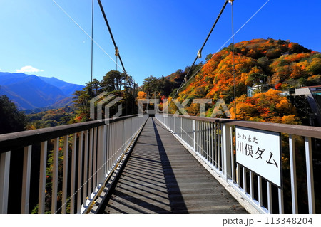 瀬戸合峡の紅葉 瀬戸合峡の紅葉 113348204