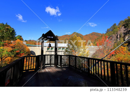 瀬戸合峡の紅葉 瀬戸合峡の紅葉 113348239