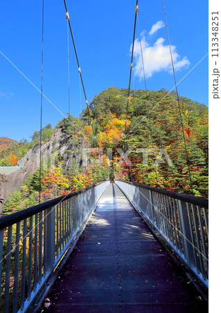 瀬戸合峡の紅葉 瀬戸合峡の紅葉 113348251