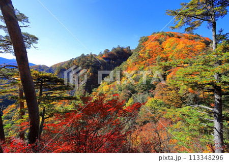 瀬戸合峡の紅葉 瀬戸合峡の紅葉 113348296