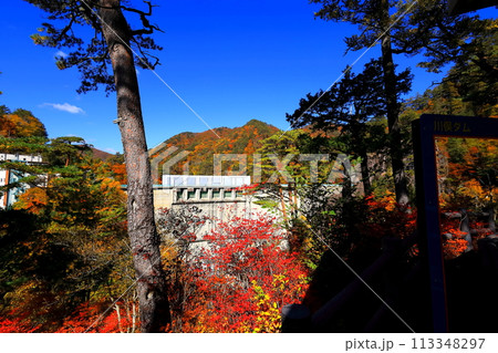 瀬戸合峡の紅葉 113348297