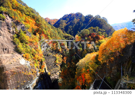 瀬戸合峡の紅葉 113348300