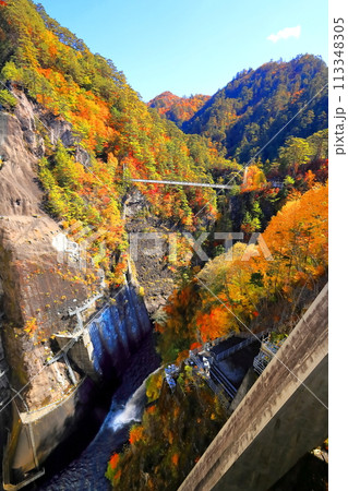 瀬戸合峡の紅葉 113348305