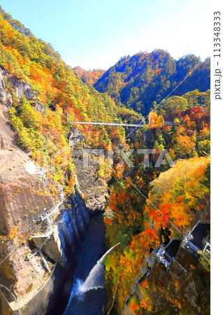 瀬戸合峡の紅葉 瀬戸合峡の紅葉 113348333
