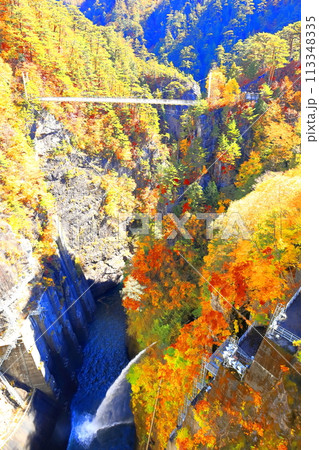 瀬戸合峡の紅葉 113348335