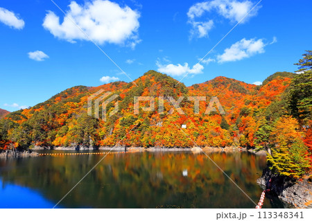 瀬戸合峡の紅葉 113348341