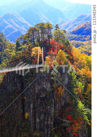 瀬戸合峡の紅葉 113348343