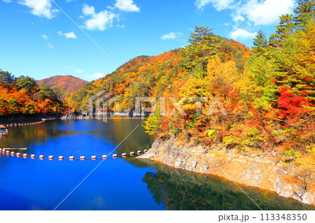 瀬戸合峡の紅葉 113348350