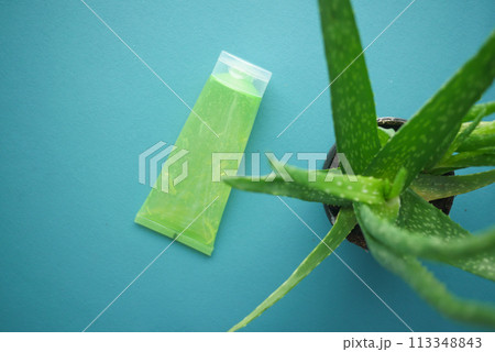 Fresh aloe vera sliced and liquid gel in plastic container on white background Fresh aloe vera sliced and liquid gel in plastic container on white background 113348843