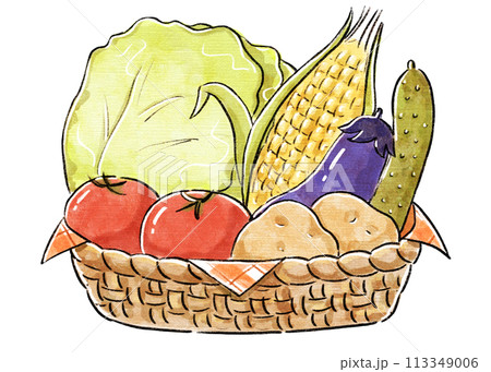 かごに入った野菜 113349006