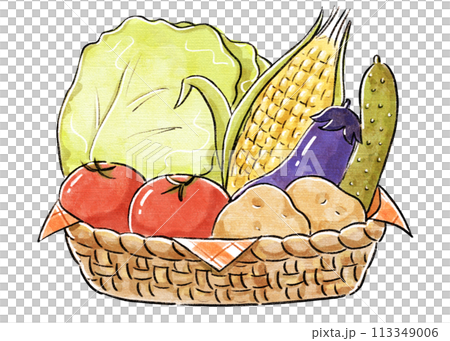 かごに入った野菜 113349006
