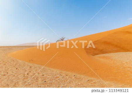 Dune 45 amid a sandstorm Dune 45 amid a sandstorm 113349121