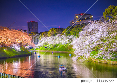 日本の東京都市景観 桜が満開になった千鳥ヶ淵。ライトアップされた桜などを望む…=令和6年4月7日 日本の東京都市景観 桜が満開になった千鳥ヶ淵。ライトアップされた桜などを望む…=令和6年4月7日 113349727