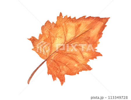 Watercolor autumn tree leaf isolated. Hand drawn illustration Watercolor autumn tree leaf isolated. Hand drawn illustration 113349728