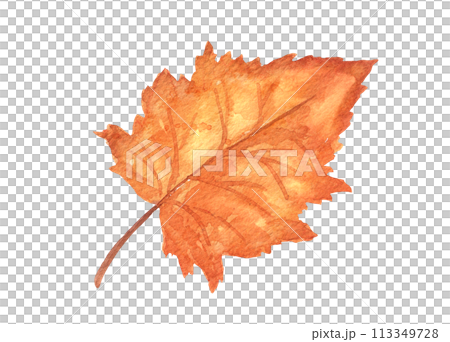 Watercolor autumn tree leaf isolated. Hand drawn illustration Watercolor autumn tree leaf isolated. Hand drawn illustration 113349728